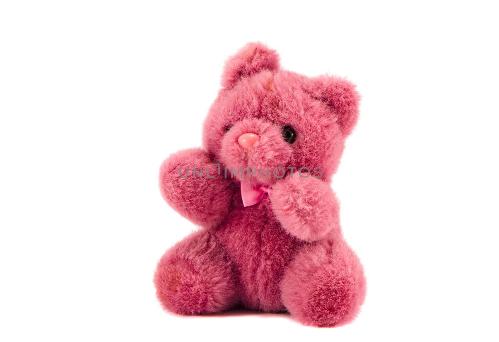 isolated on white background old teddy bear toy