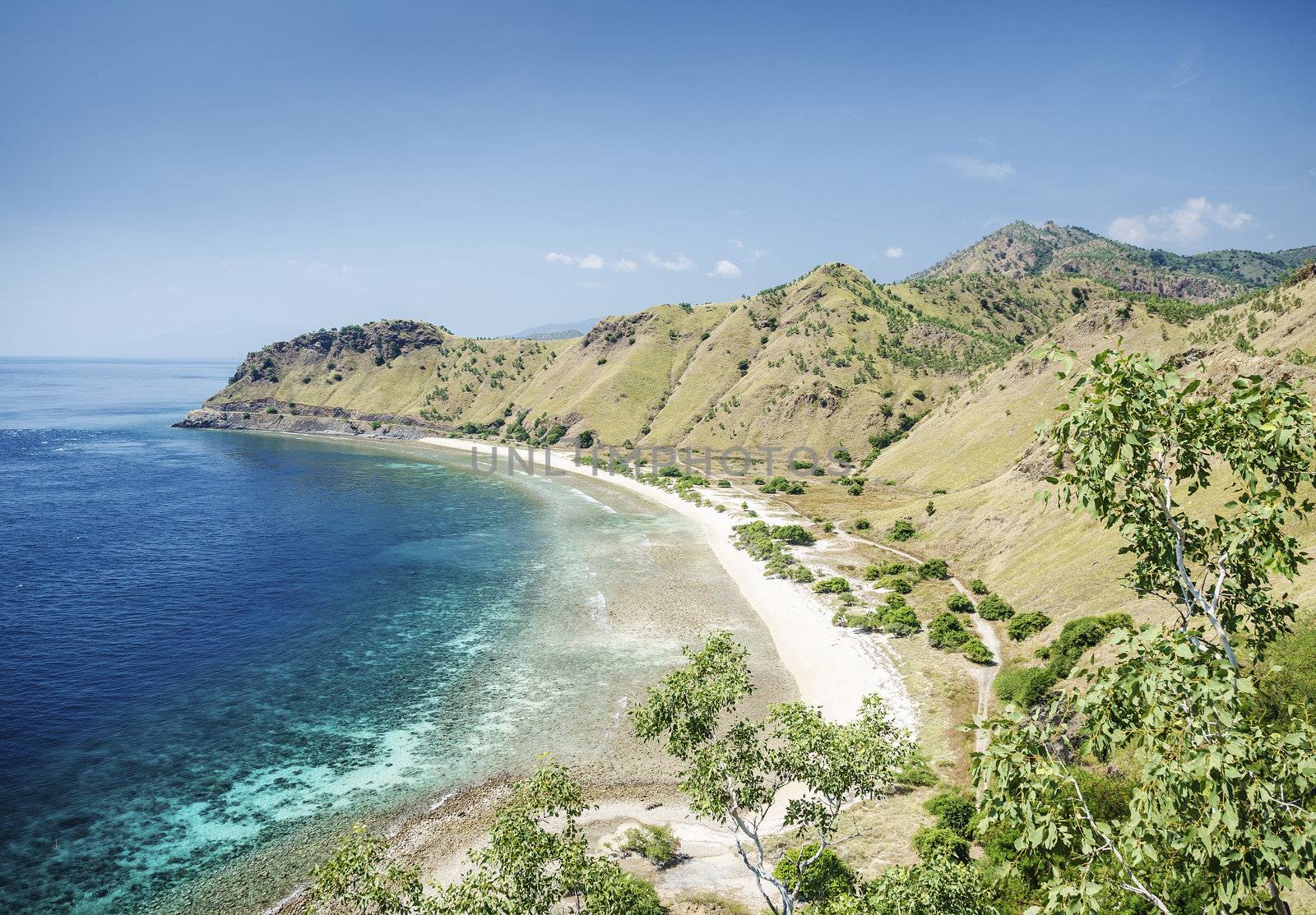 beach near dili east timor, timor leste by jackmalipan