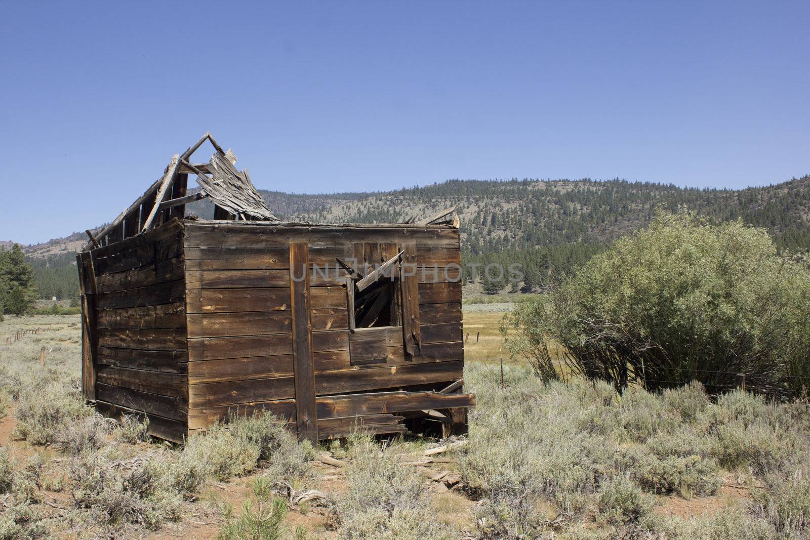 an abandoned western barn in the high sierras