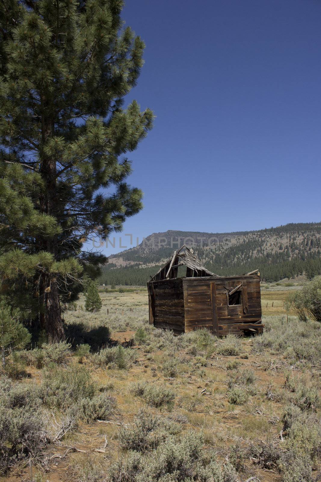 an abandoned western barn in the high sierras