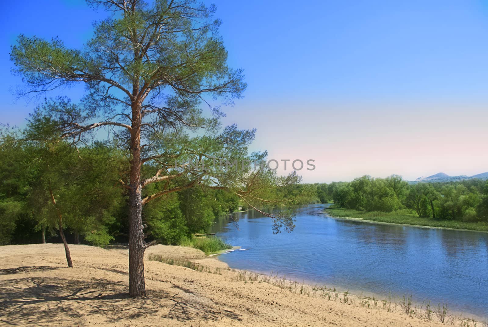 River in pine and fir forest, East Europe