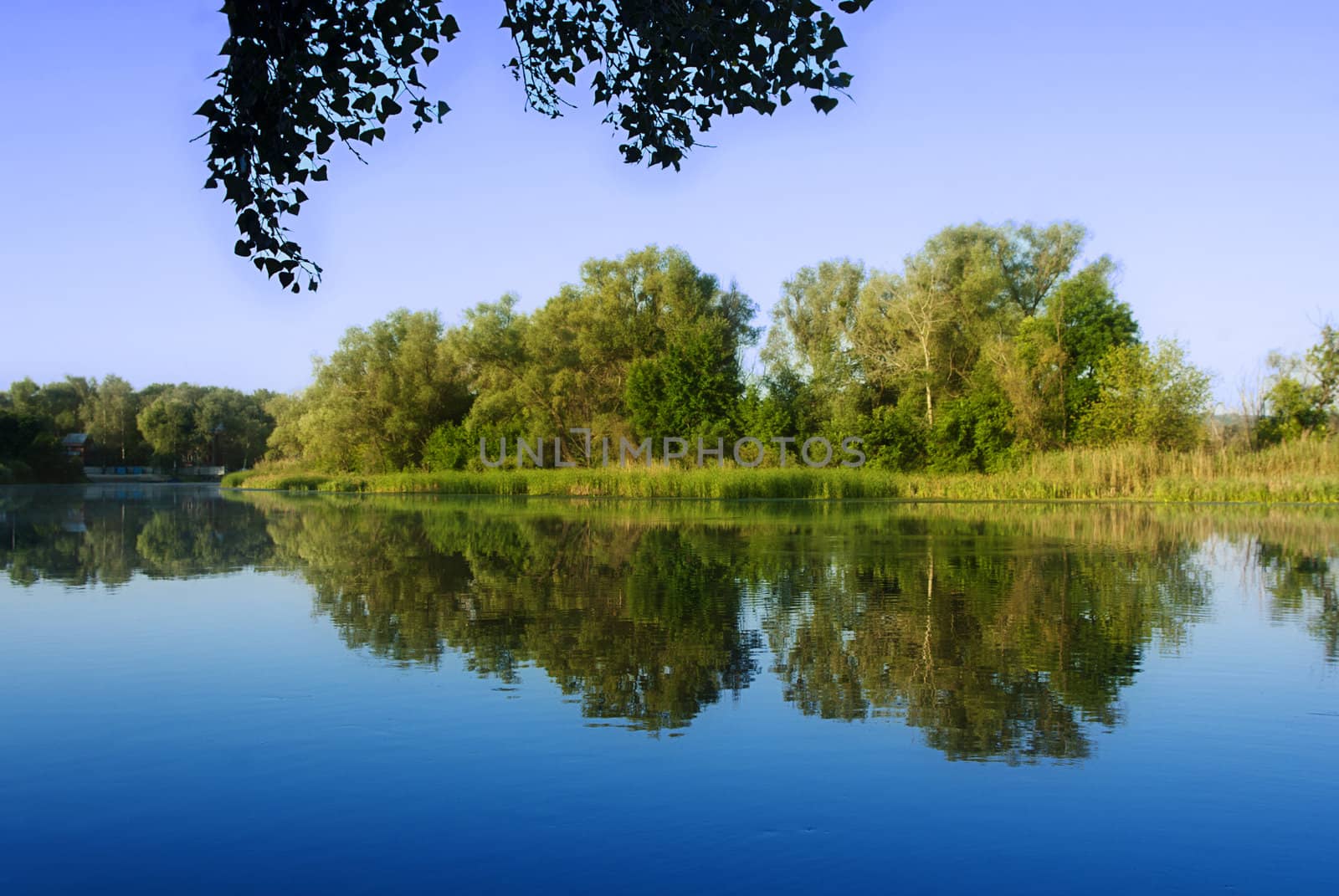 River in forest, East Europe