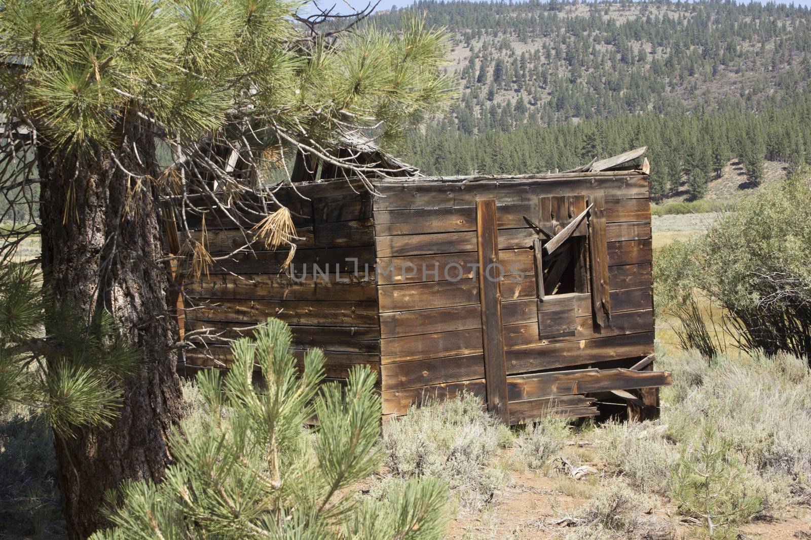 Western house or barn that has been abandoned by jeremywhat