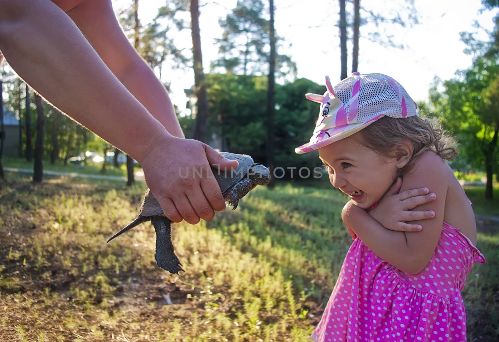 Little girl and turtle against a background of forest