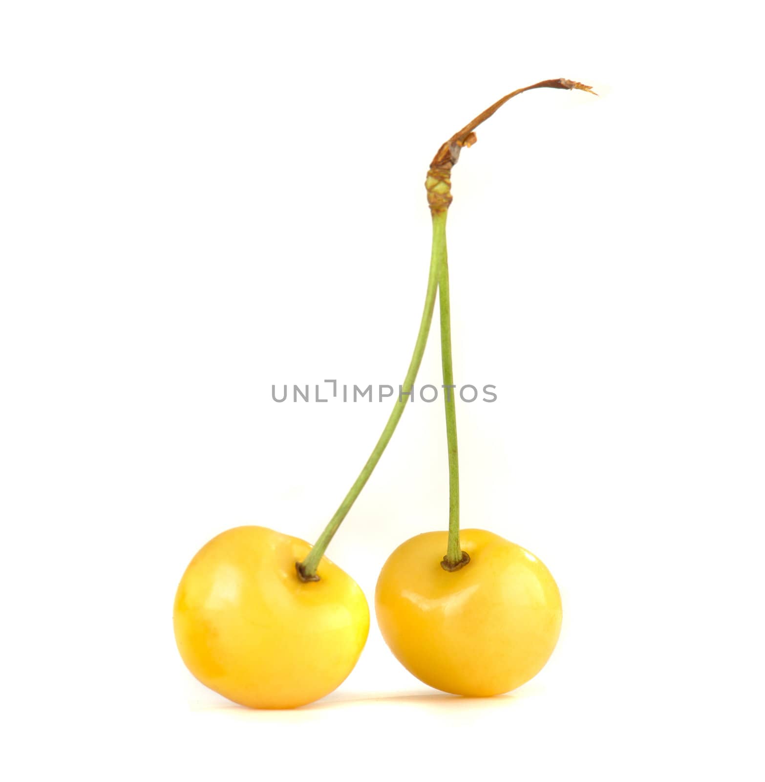 yellow cherry �n a white background