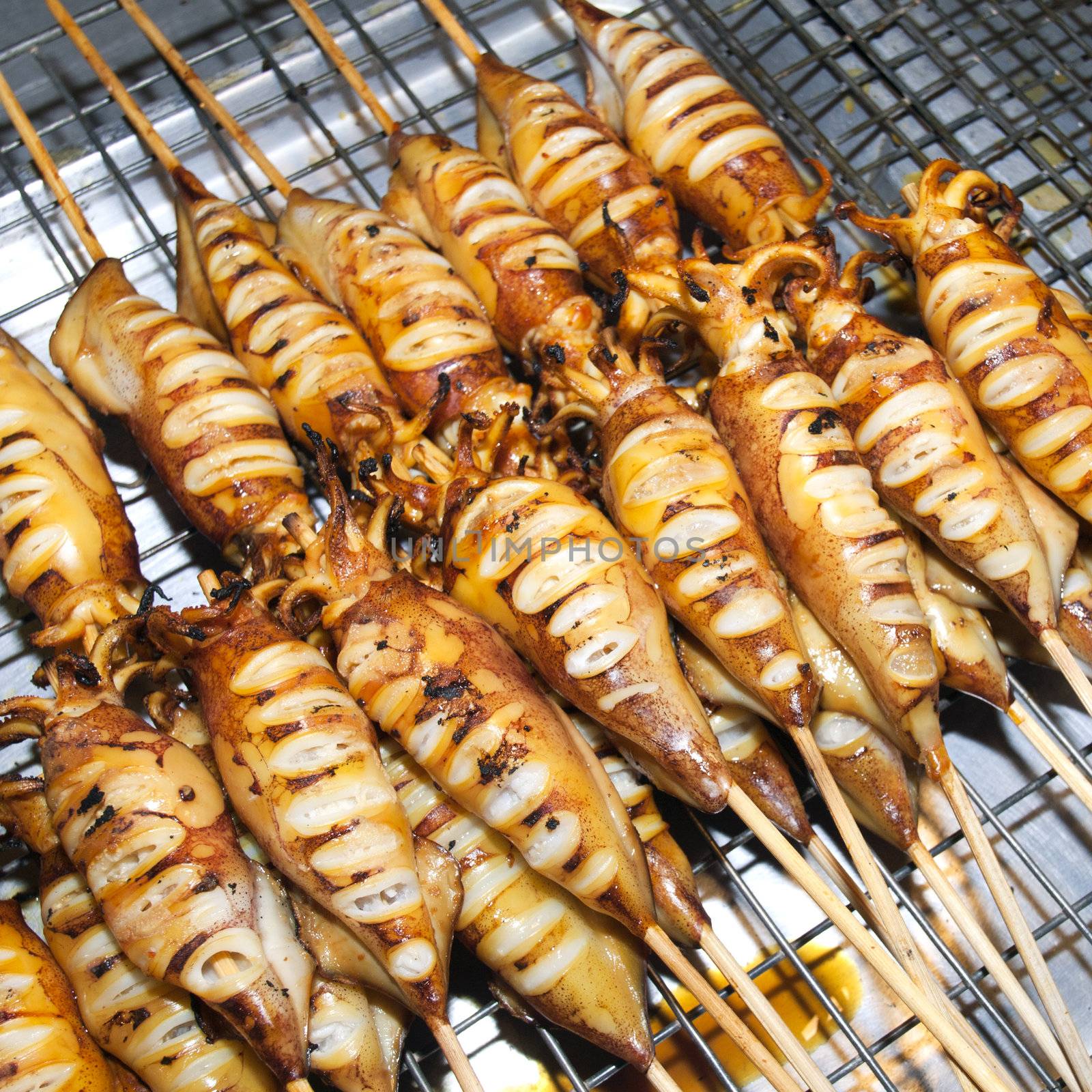 Many of grilled squid in thai market by jakgree