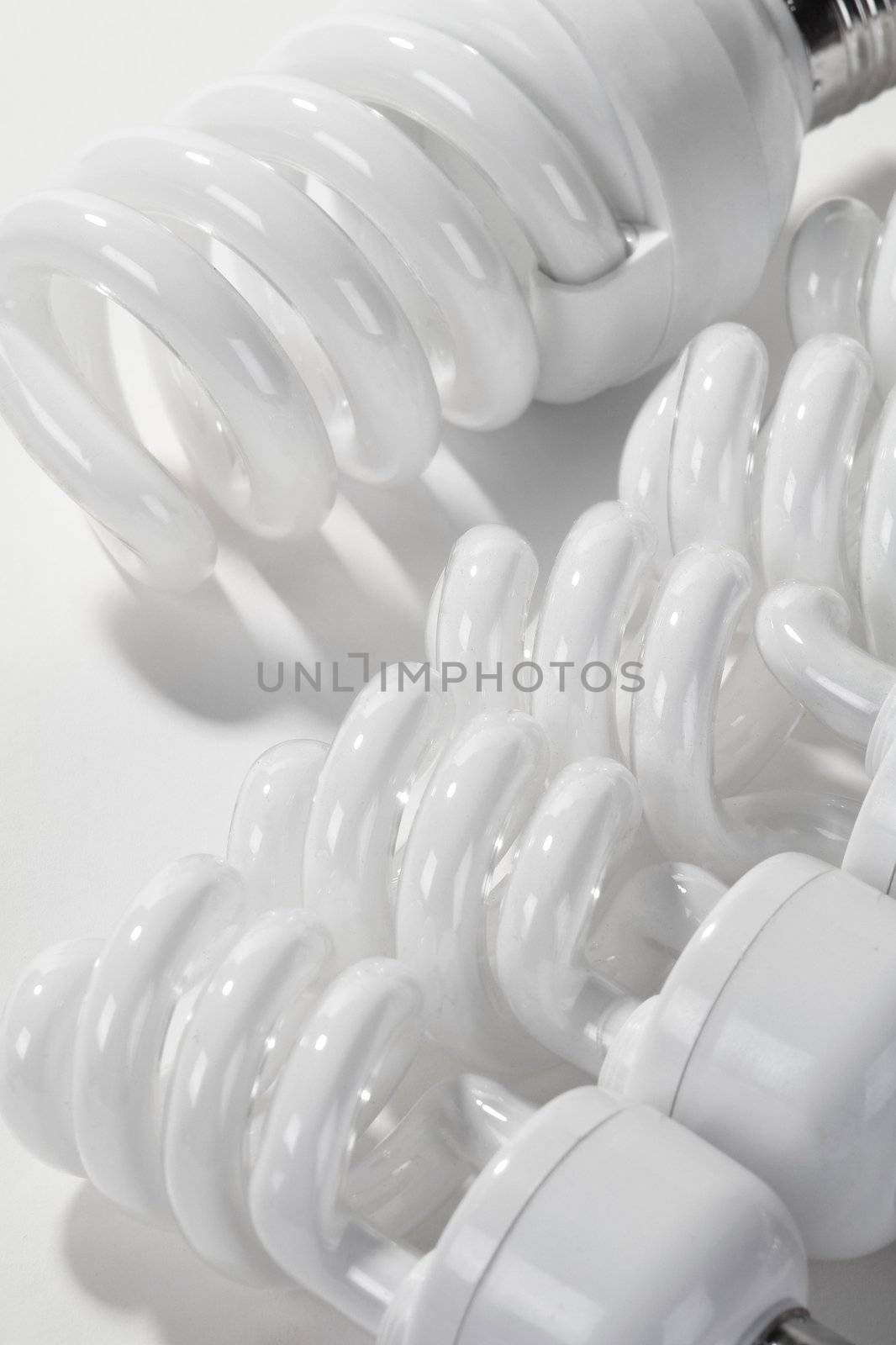 Bulb on a white background                               