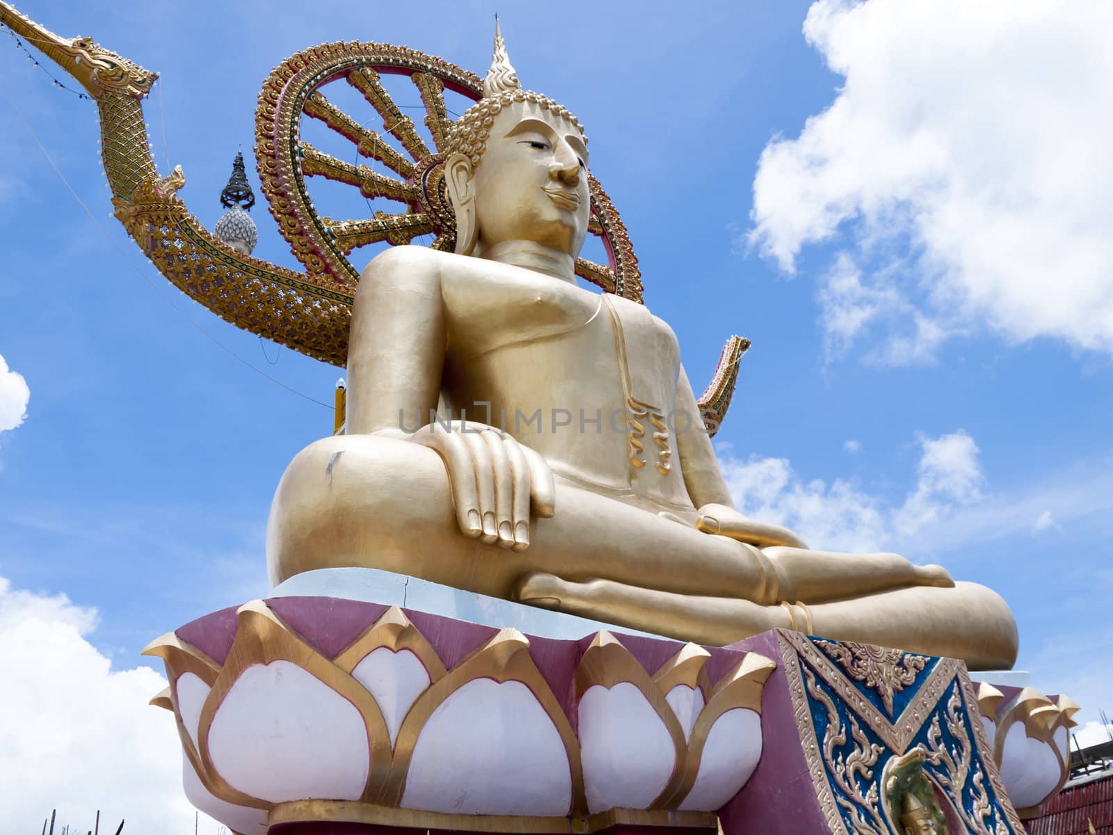 Statue of Buddha in Thailand by jakgree