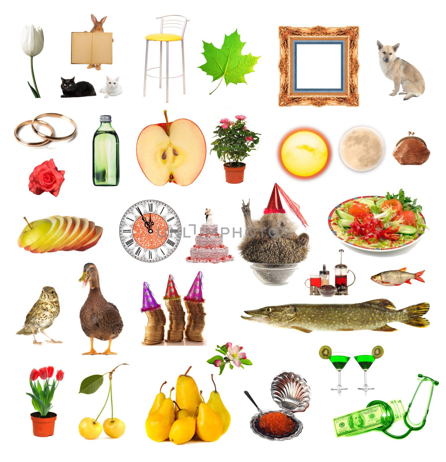 use subjects on a white background