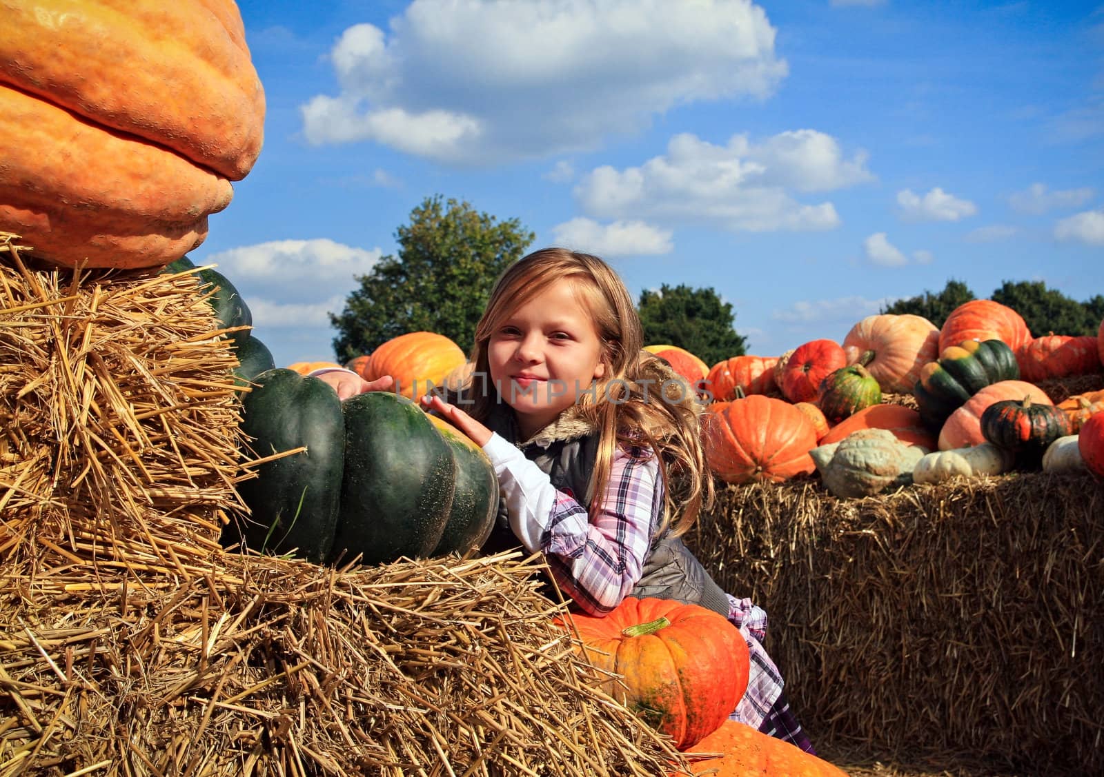 Cute little girls in a pumpkin patch