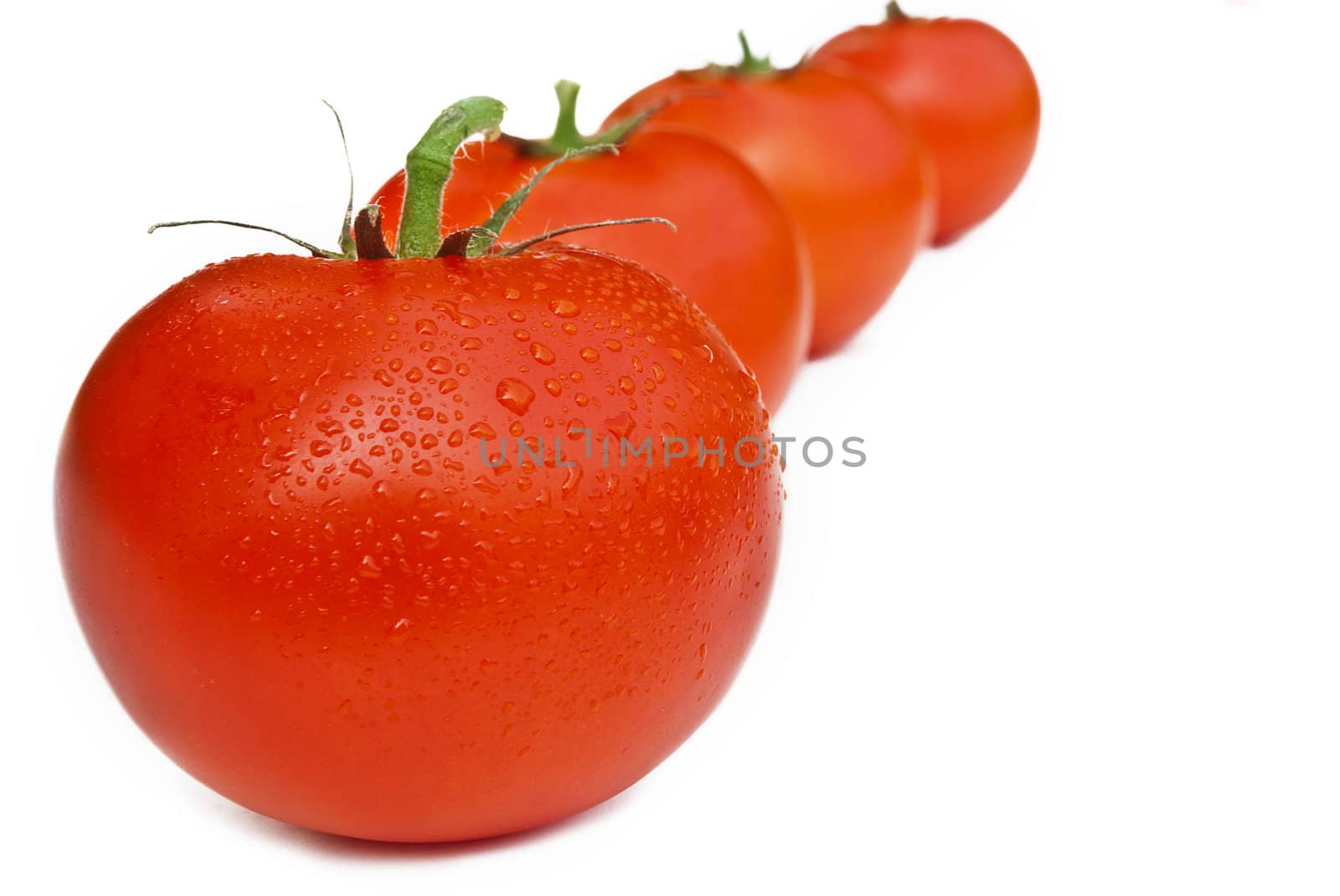 Line of tomatos isolated over white