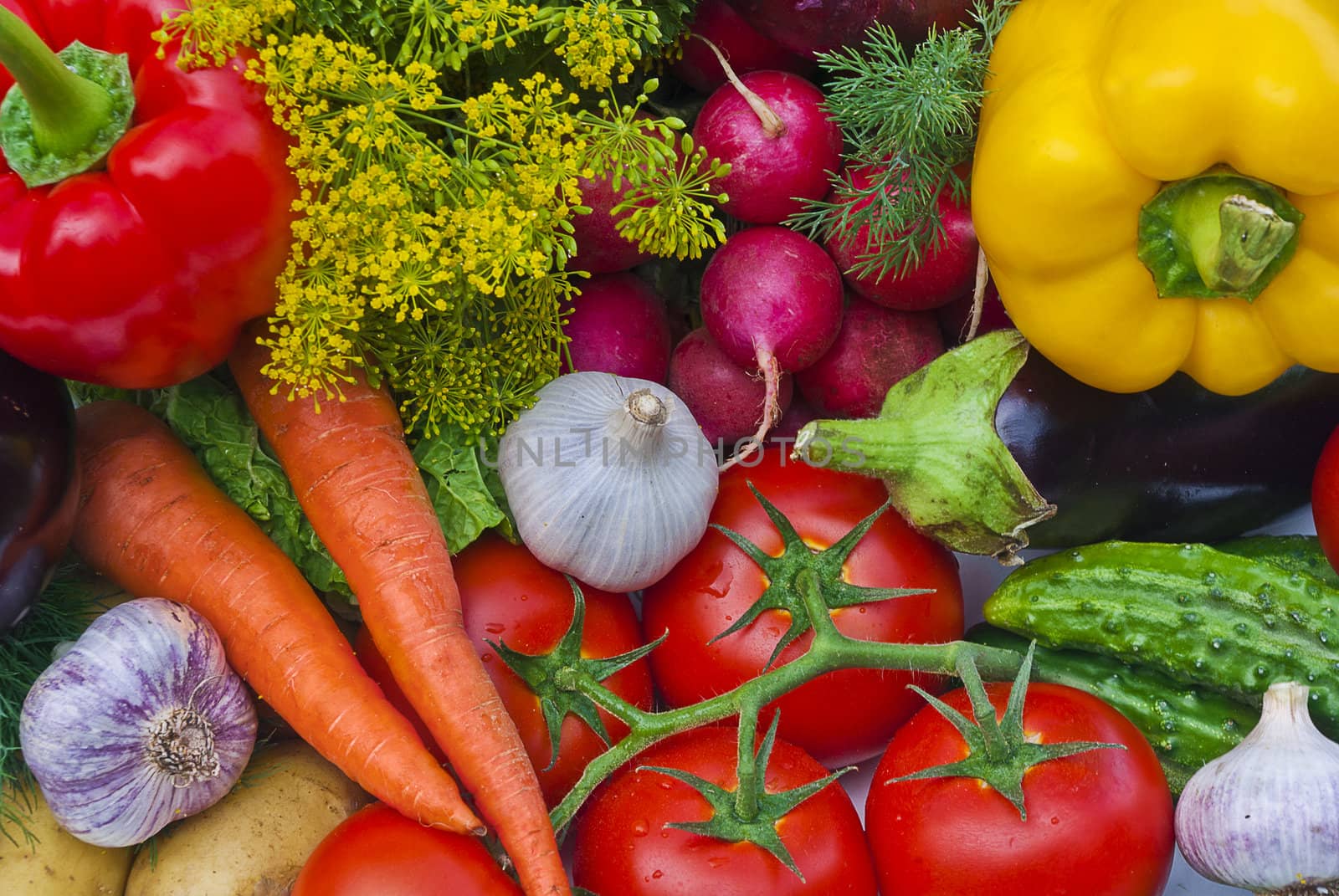 Group of vegetables close-up view