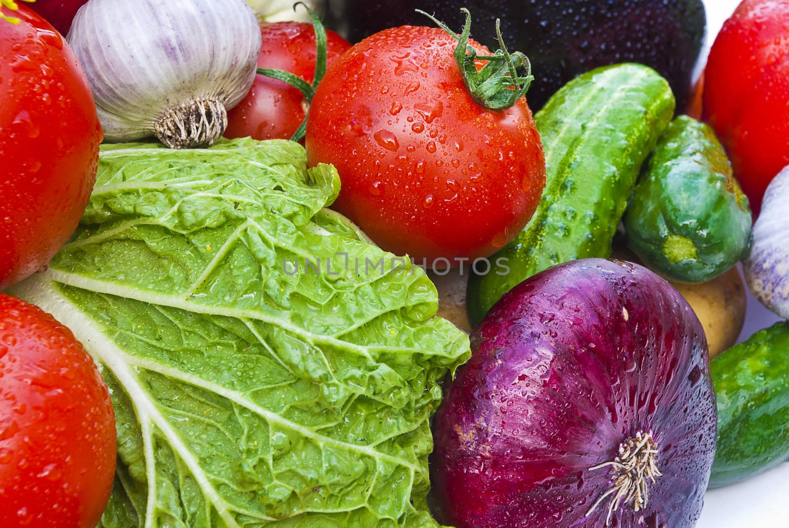 Group of vegetables close-up view
