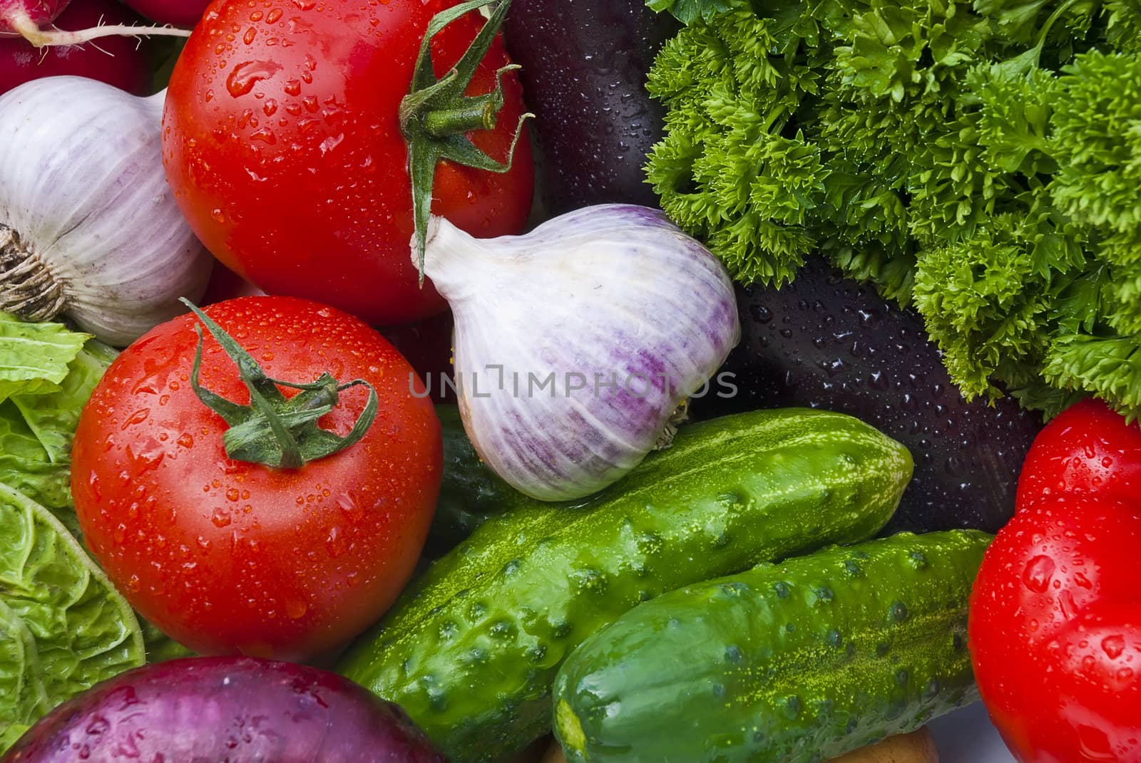 Group of vegetables close-up view