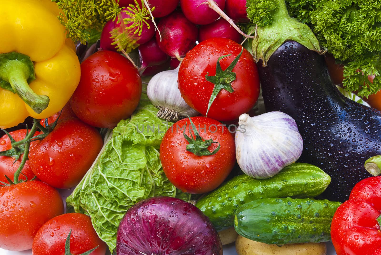 Group of vegetables close-up view