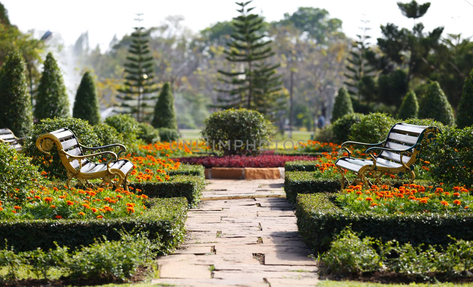 Two benches in the garden near Bangkok Thailand.