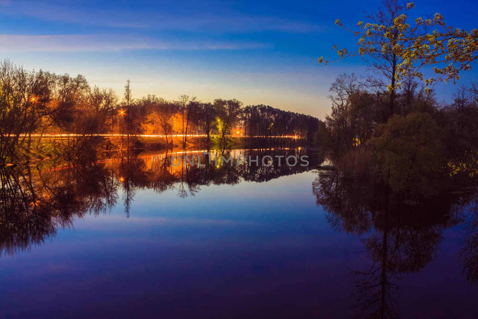 River And Night Spring Forest.