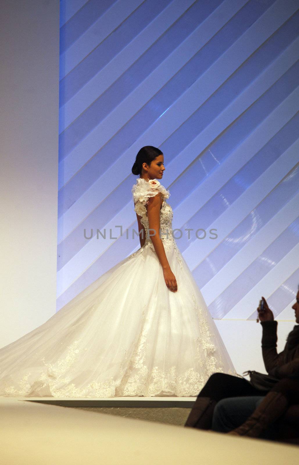 ZAGREB, CROATIA - FEBRUARY 19: Fashion model walks the runway in wedding dress on 'Wedding days' show, February 19, 2012 in Zagreb, Croatia.