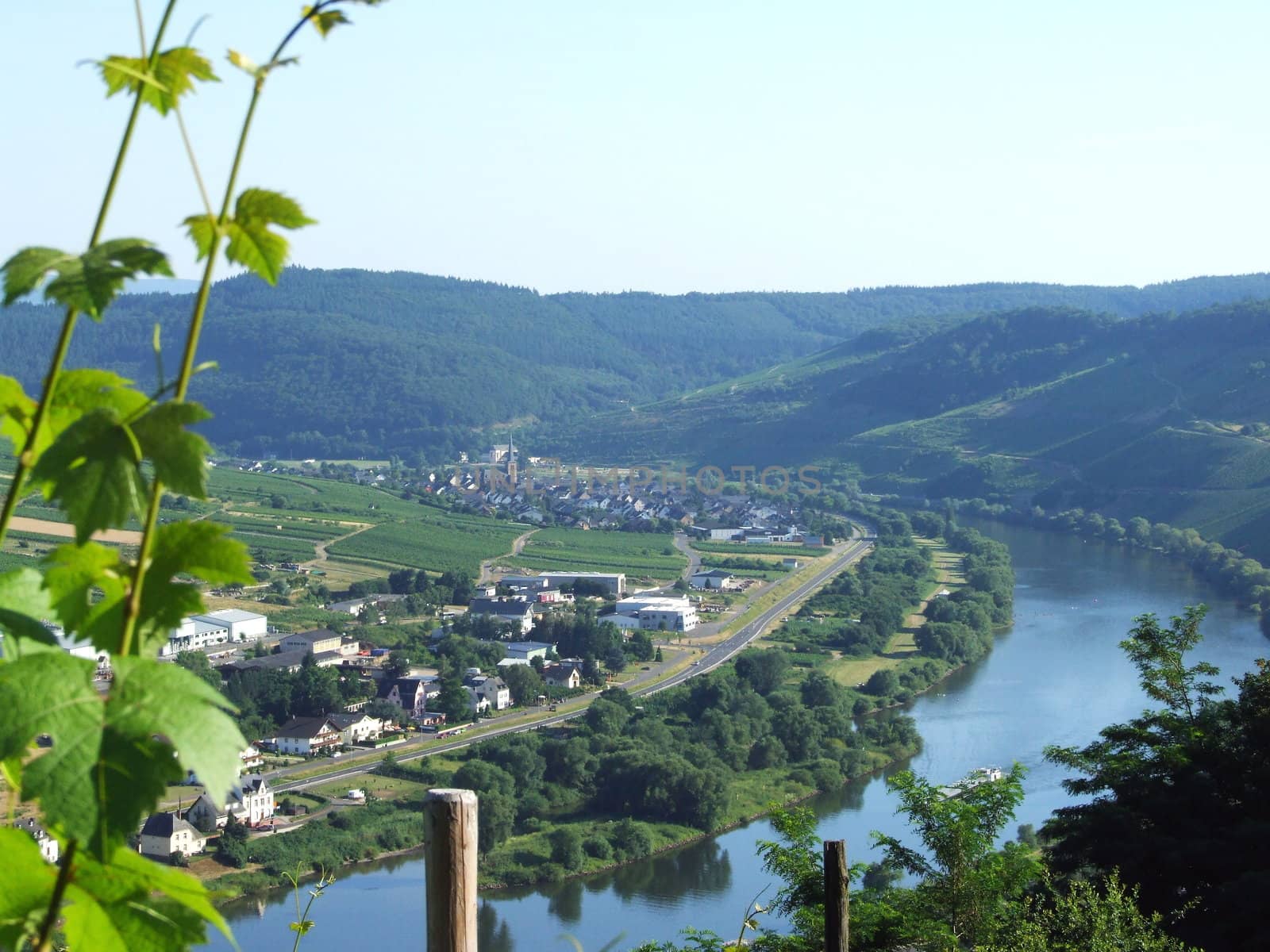 Blick auf Zeltingen an der Mosel mit Industriegebiet
