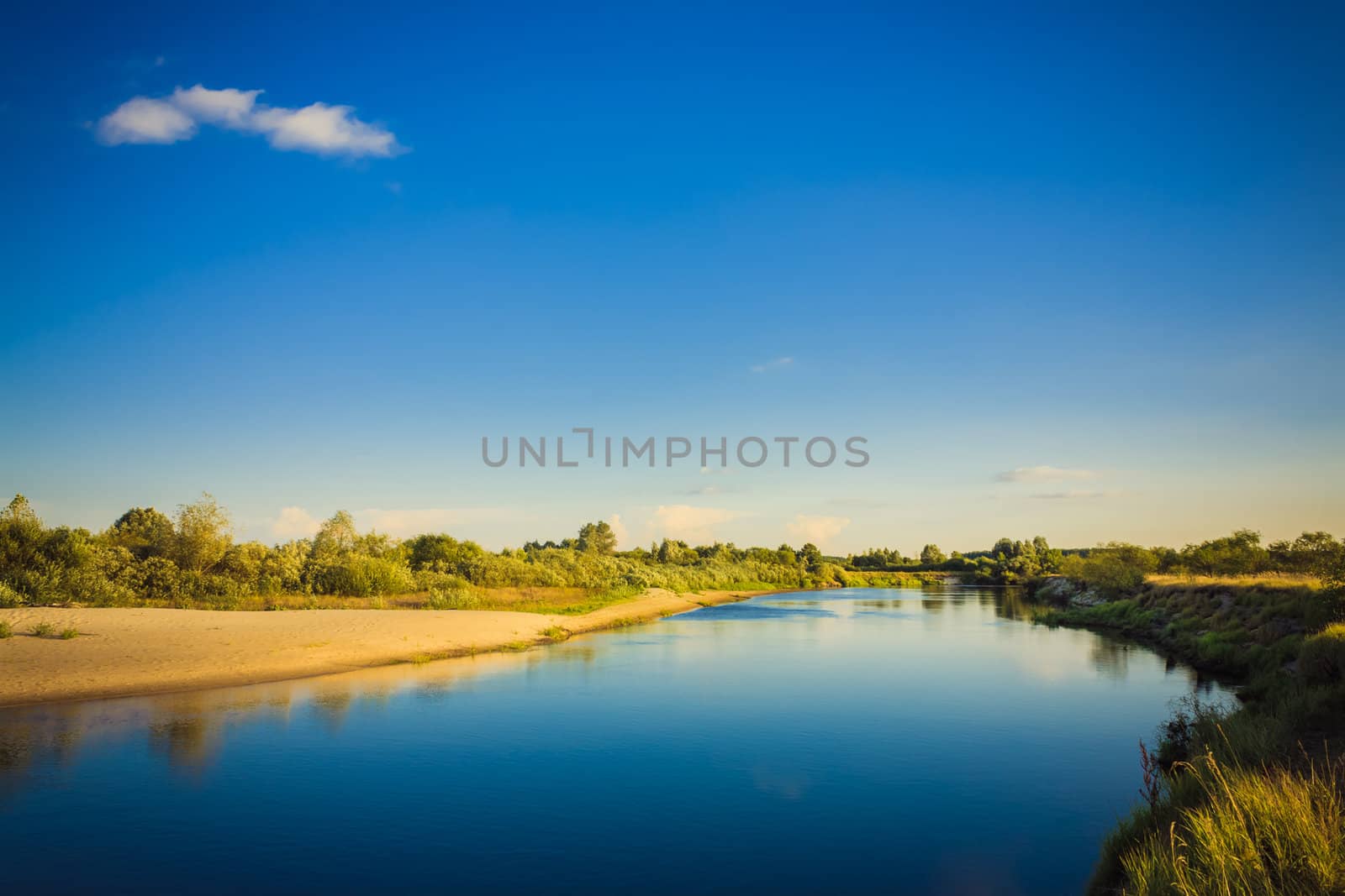 Wide Panorama Of A River And The Forest by ryhor