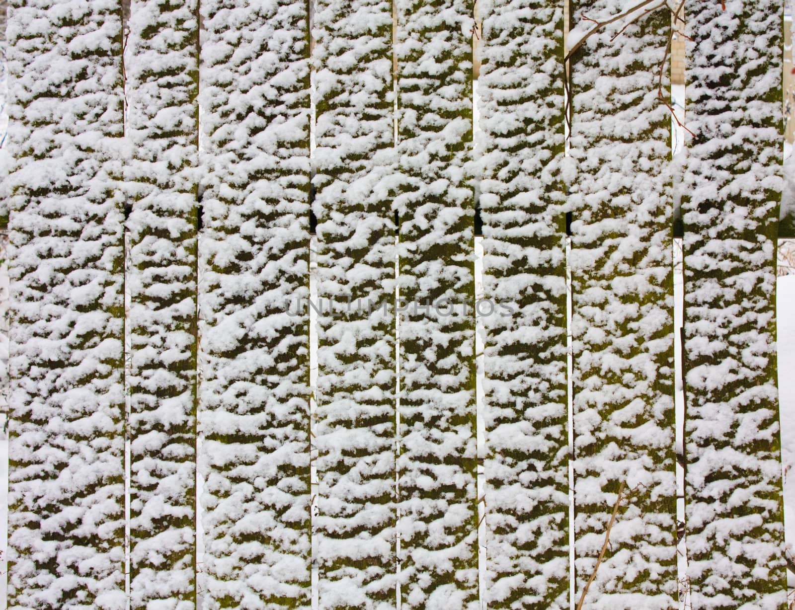 Wooden fence in snow. Background.