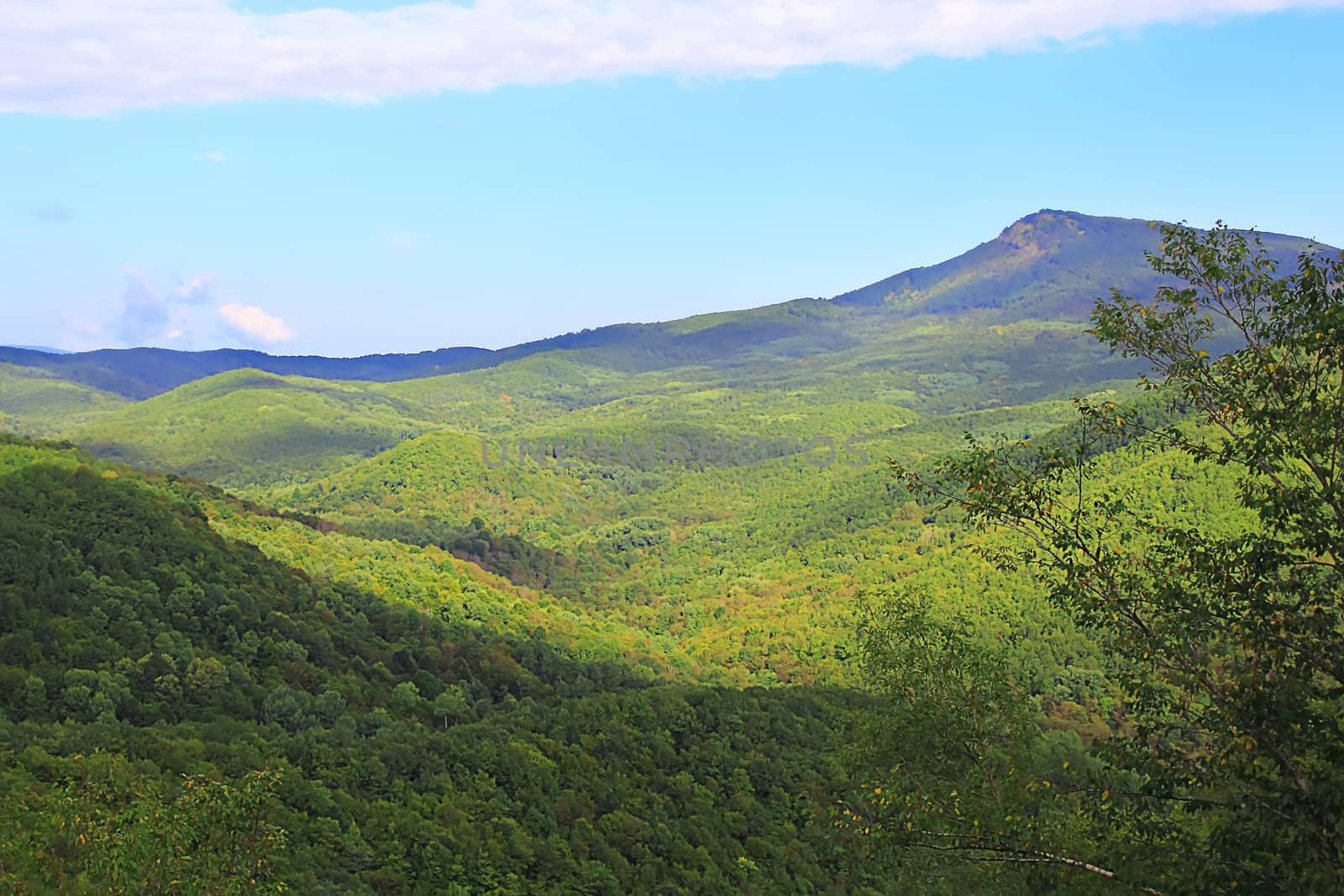 Summer beautiful landscape with Caucasus green mountains