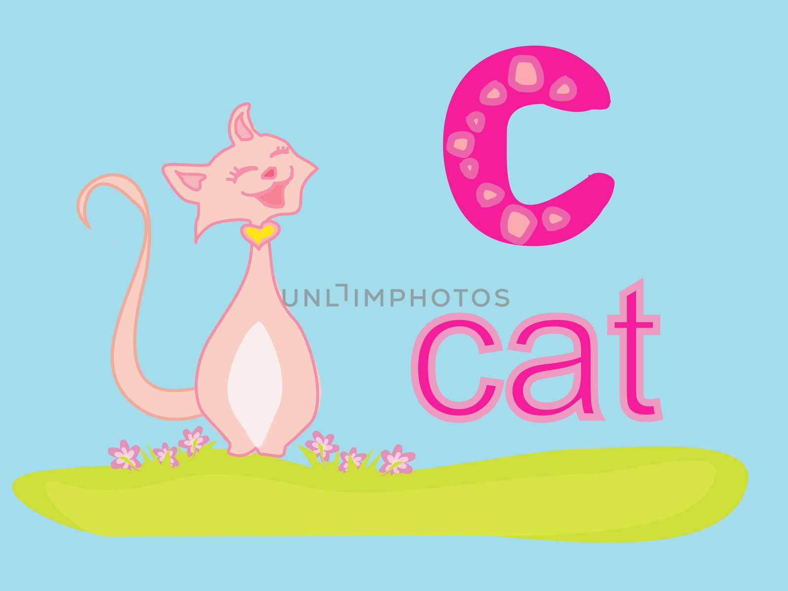 illustration of animal alphabet C with cat