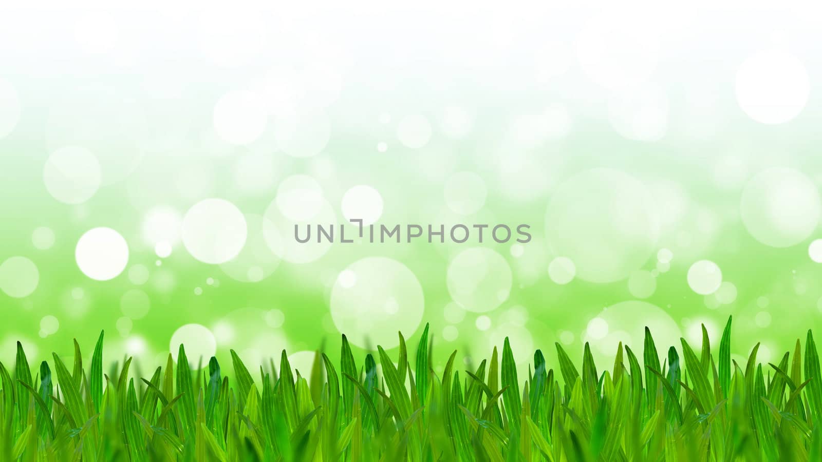 Abstract  green tone background with green grass by jakgree