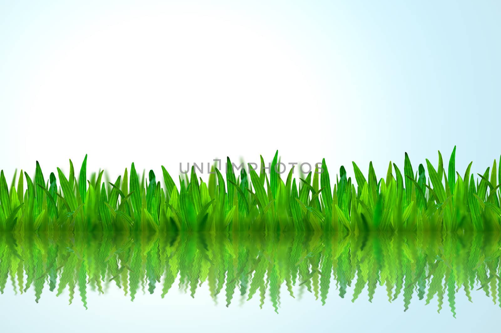 Isolated green grass with water reflection on blue background by jakgree