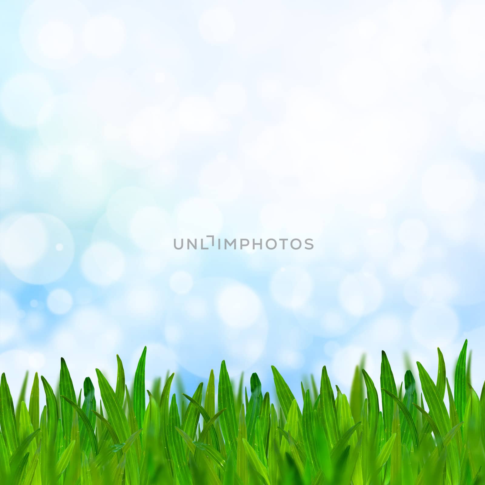 Abstract blue tone bokeh background with green grass.