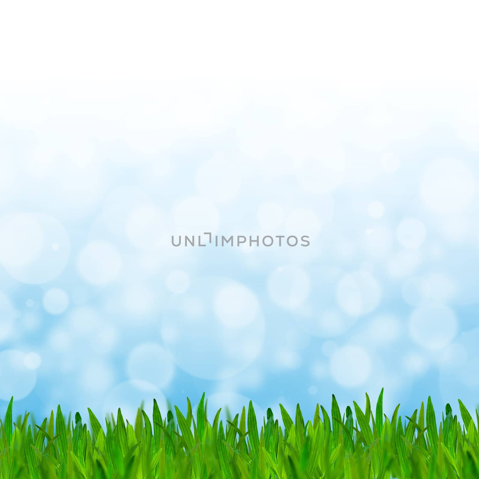 Abstract blue tone bokeh background with green grass.