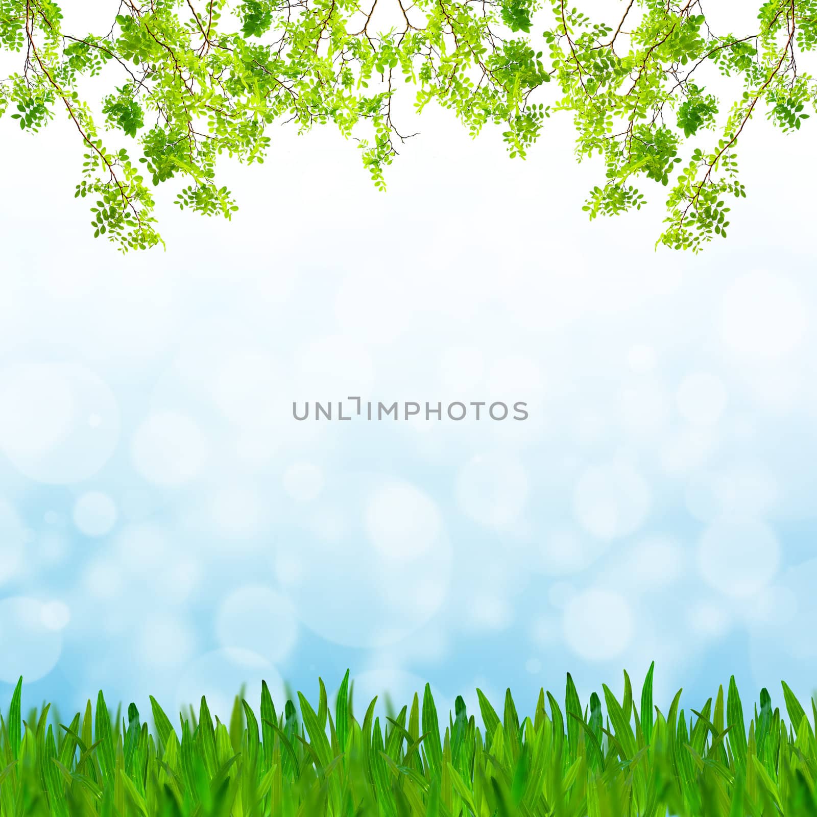 Abstract blue tone bokeh background with green grass and fresh green leaves