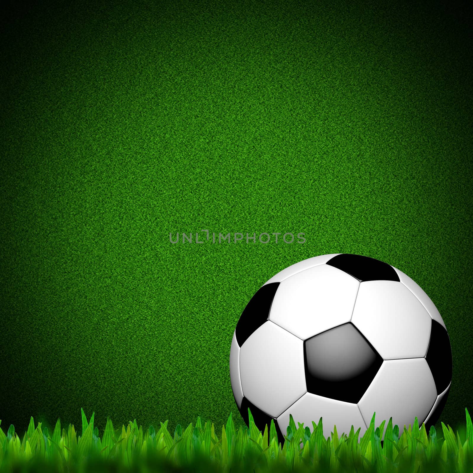 Football ( soccer ball ) in green grass