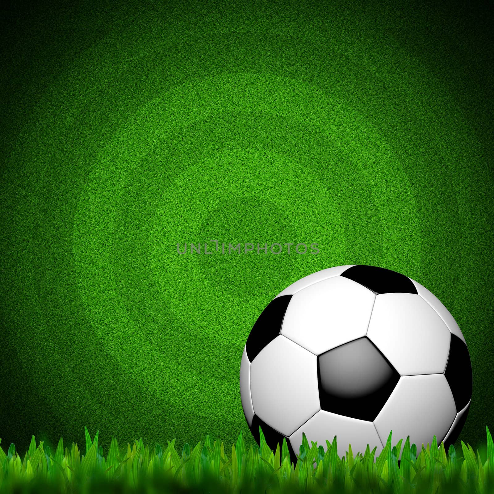 Football ( soccer ball ) in green grass