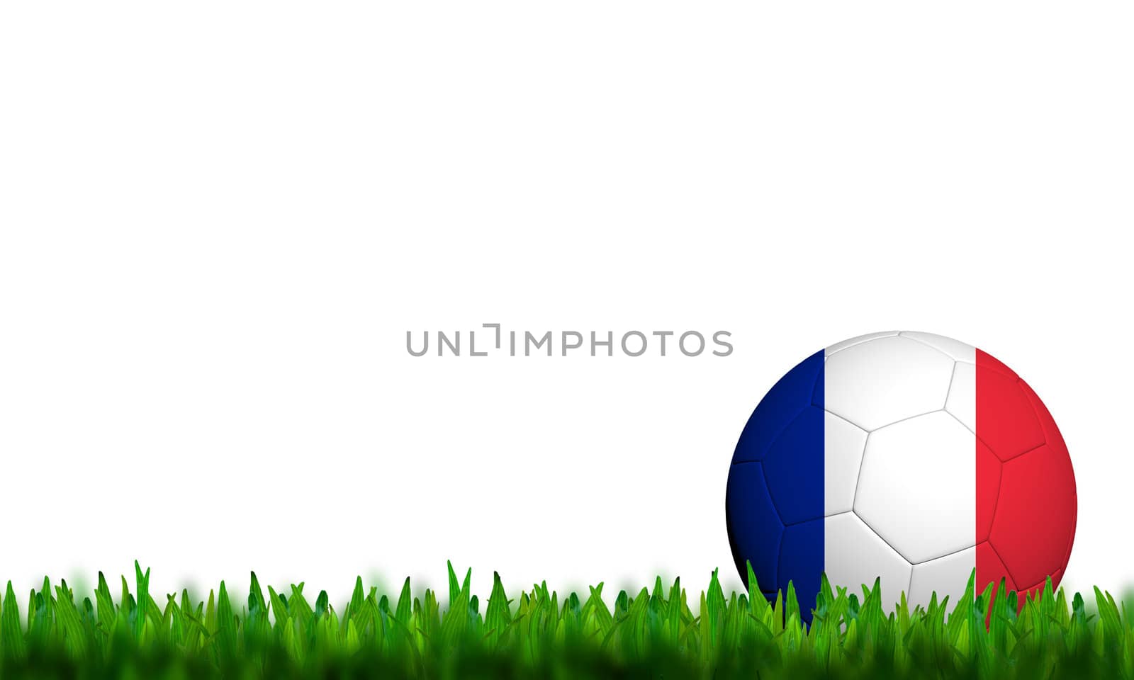 3D Football France Flag Patter in green grass on white background