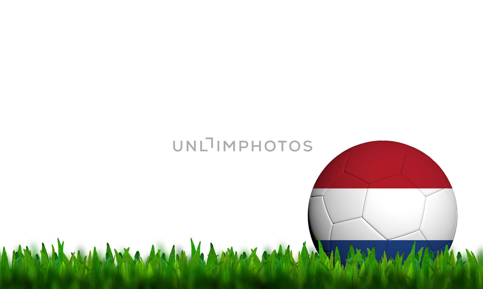 3D Football Netherlands Flag Patter in green grass on white background