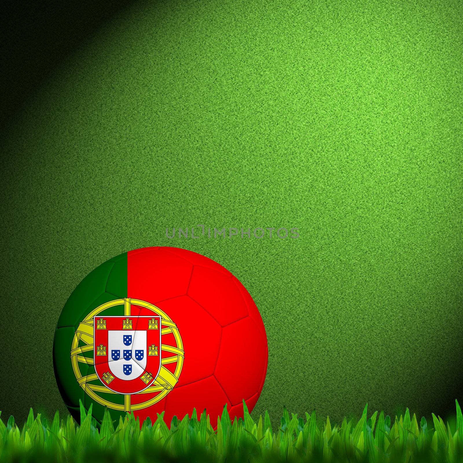 3D Football Portugal Flag Patter in green grass by jakgree