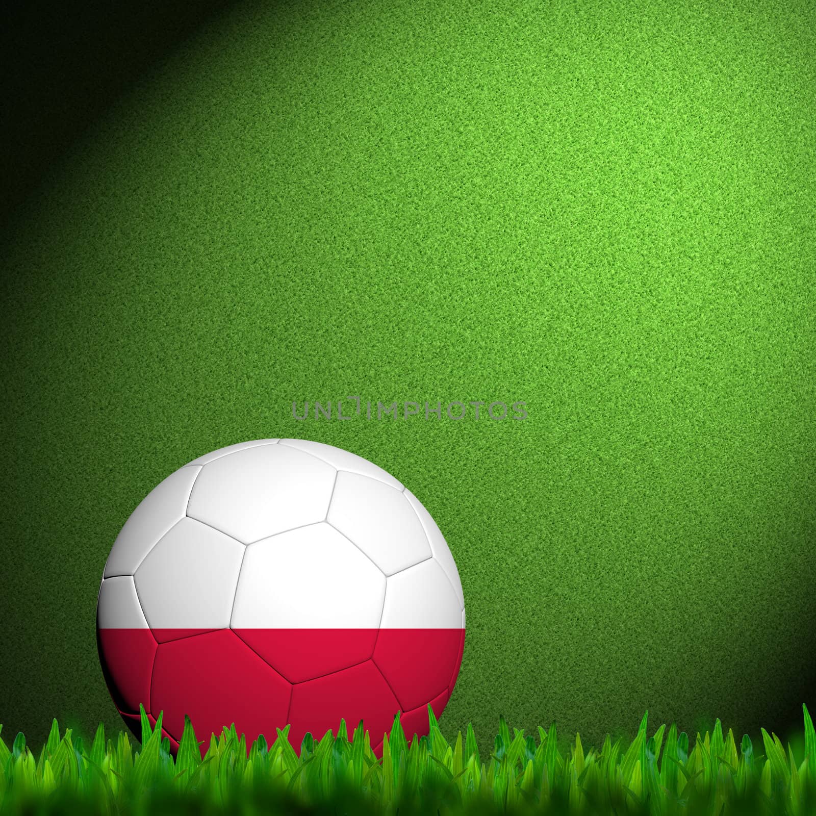 3D Football Poland Flag Patter in green grass by jakgree
