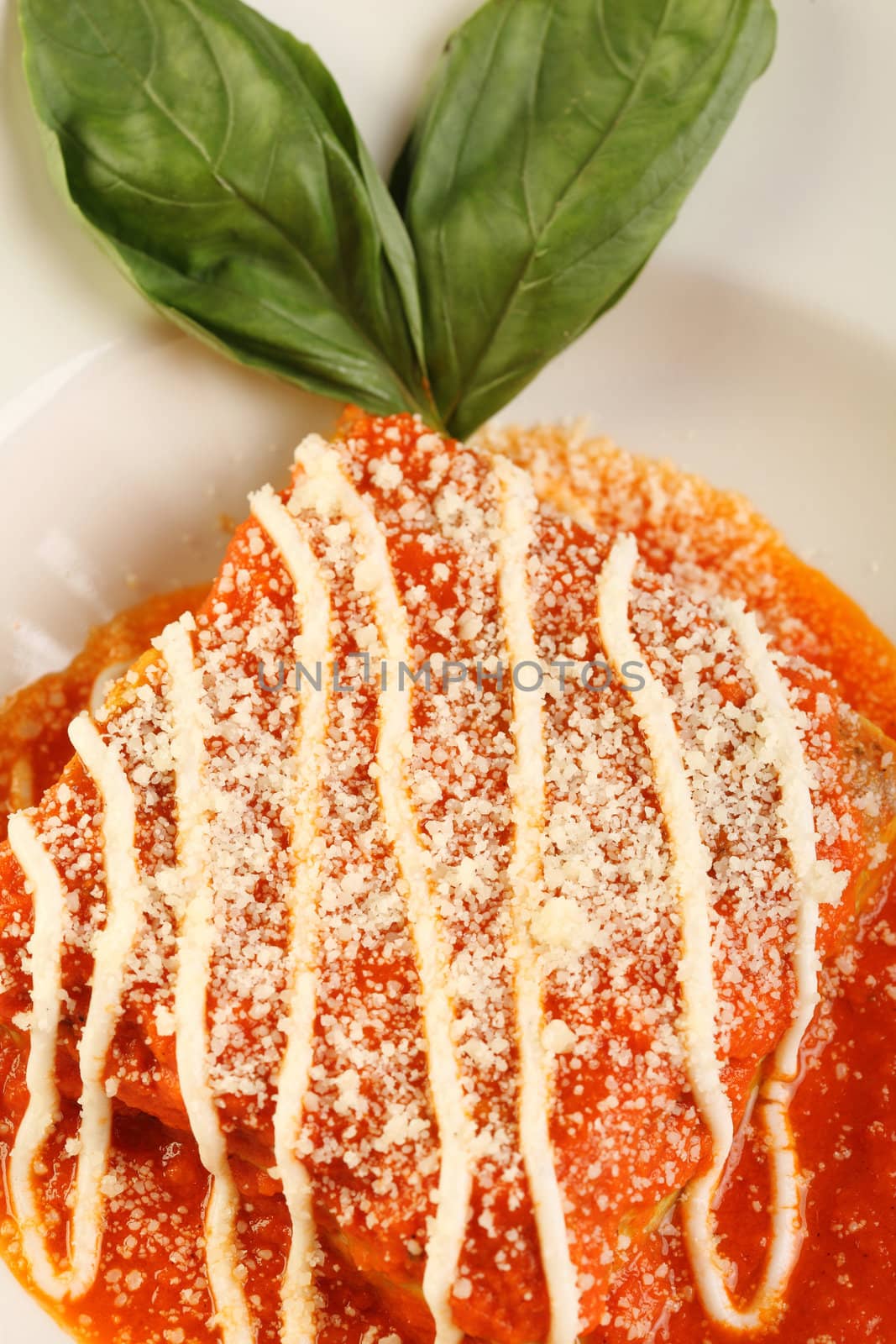 Traditional italian lasagna with tomato sauce and basil