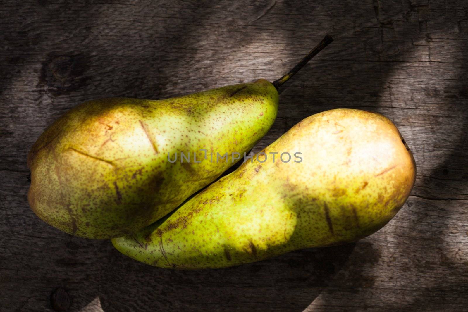 Pears on the wooden background under tree in orchard
