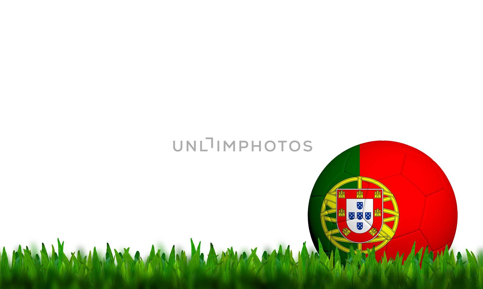 3D Football Portugal  Flag Patter in green grass on white background