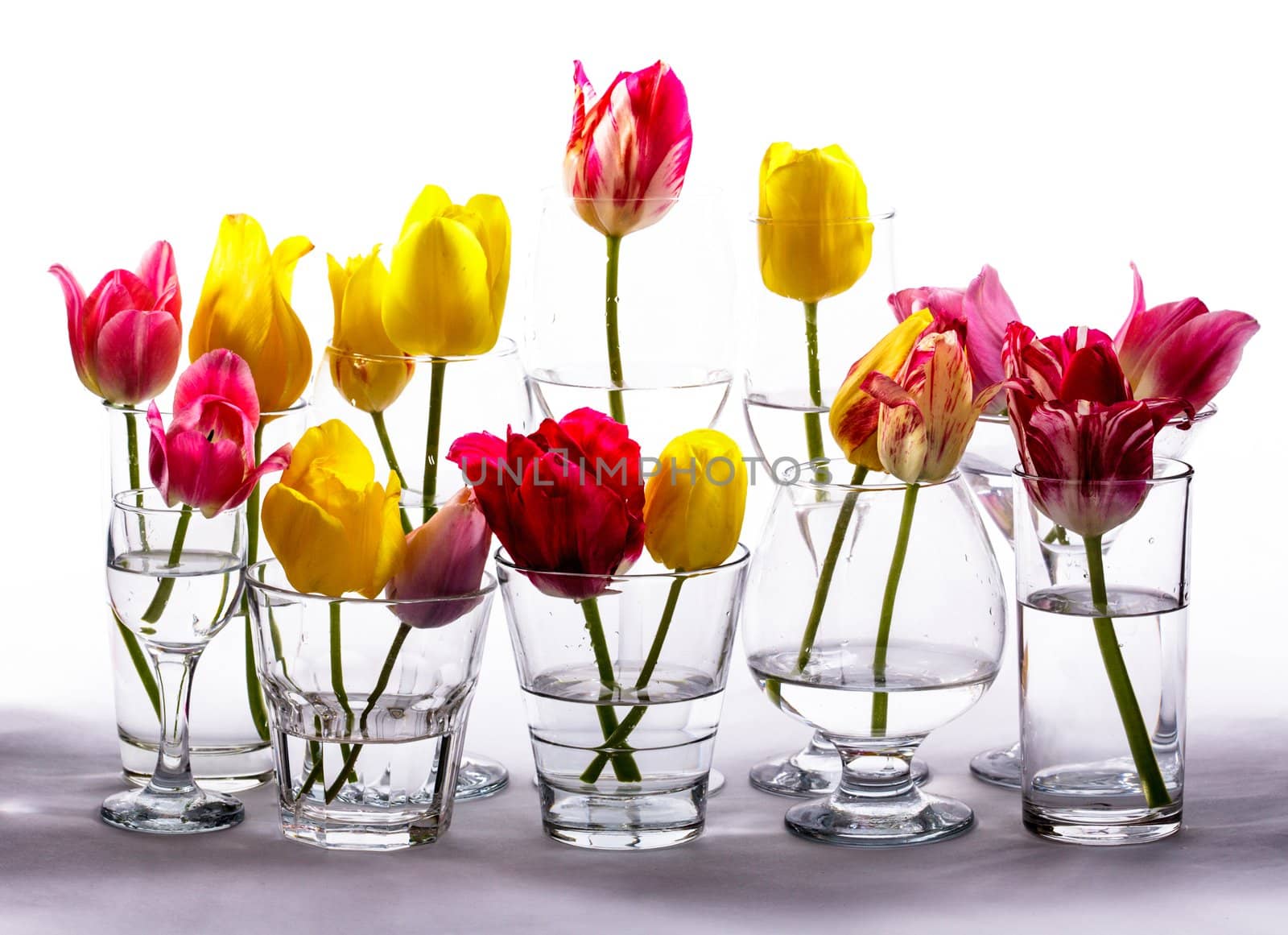 Tulips in glasses by oksix
