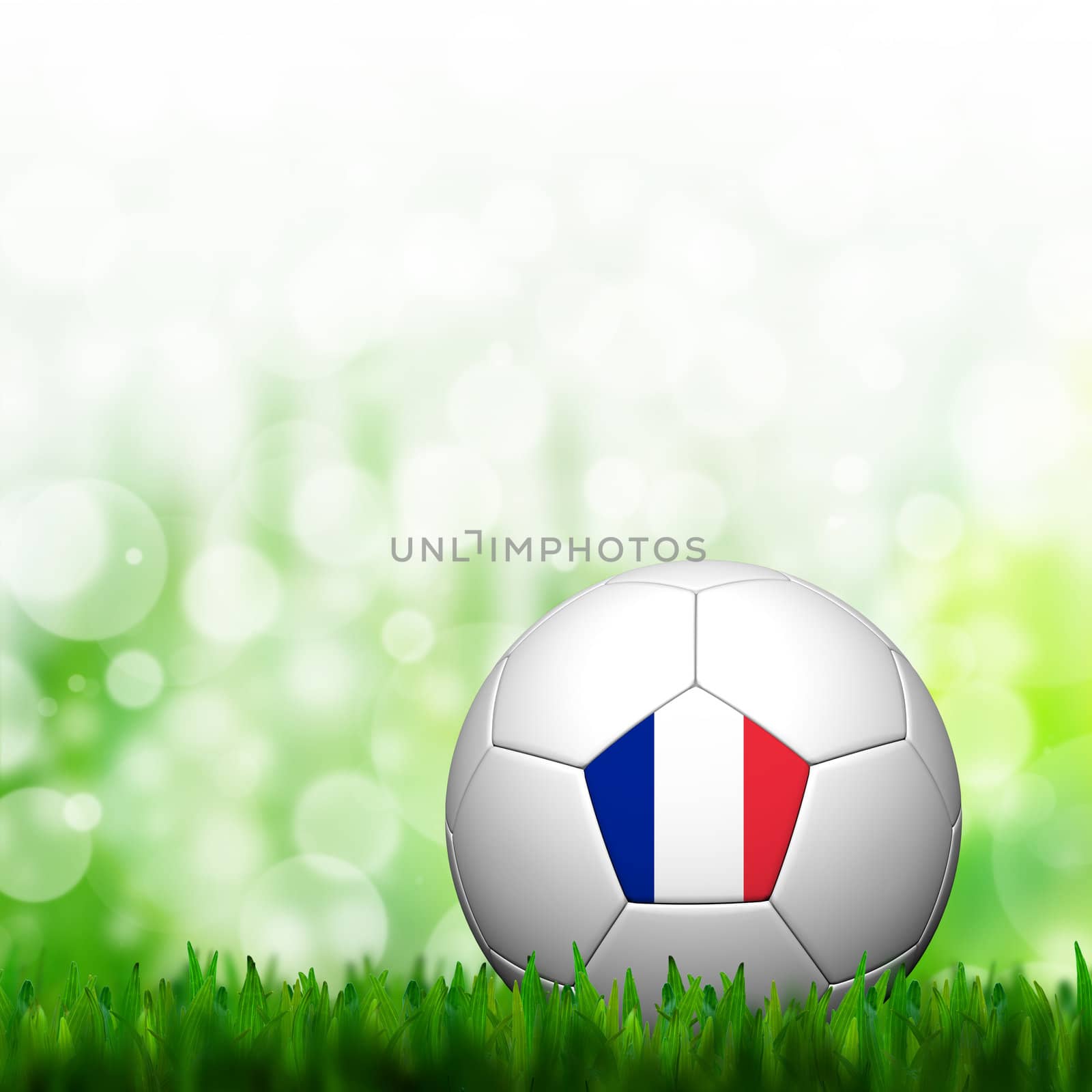 3D Football France Flag Patter in green grass and background by jakgree