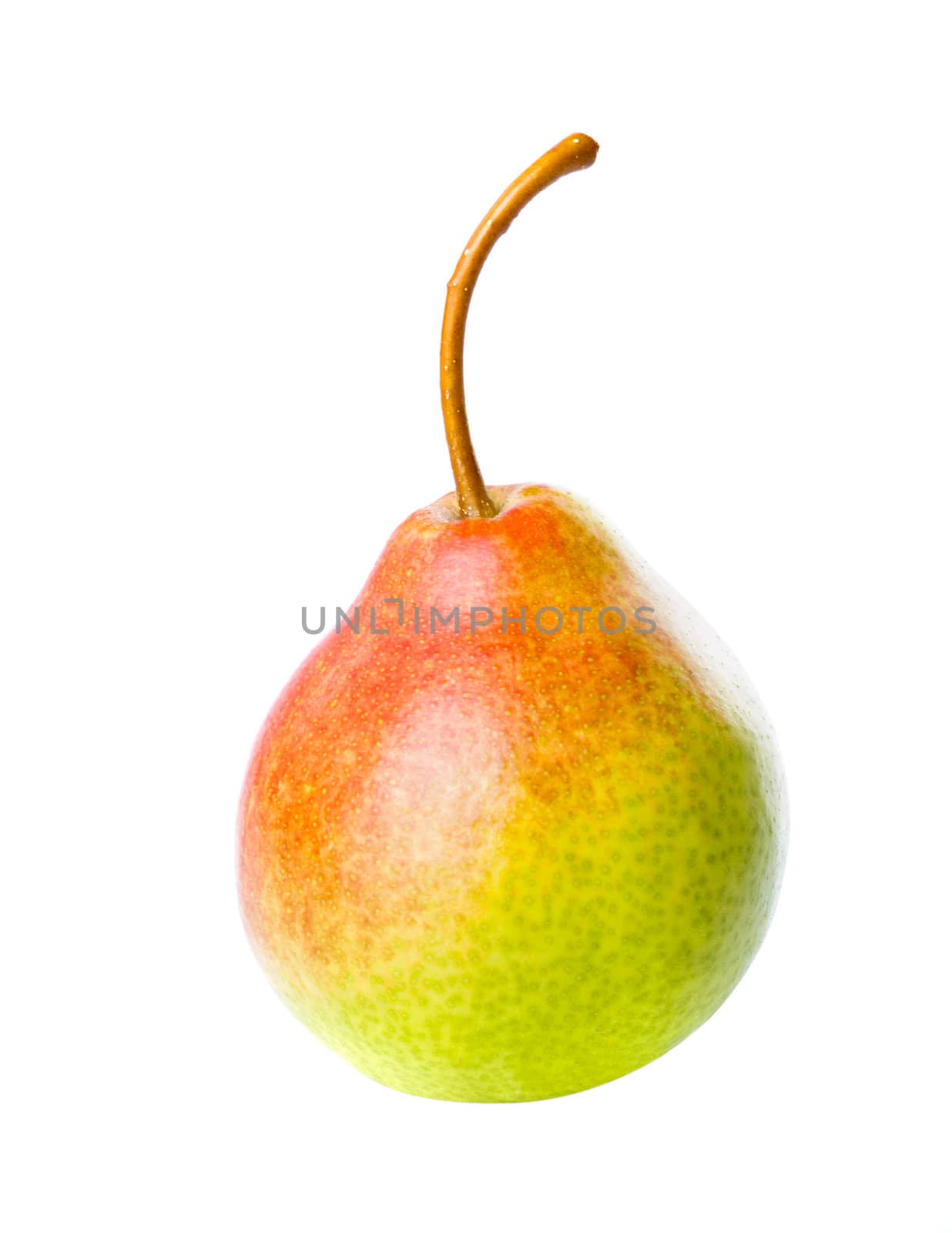 One pear fruit isolated on white background