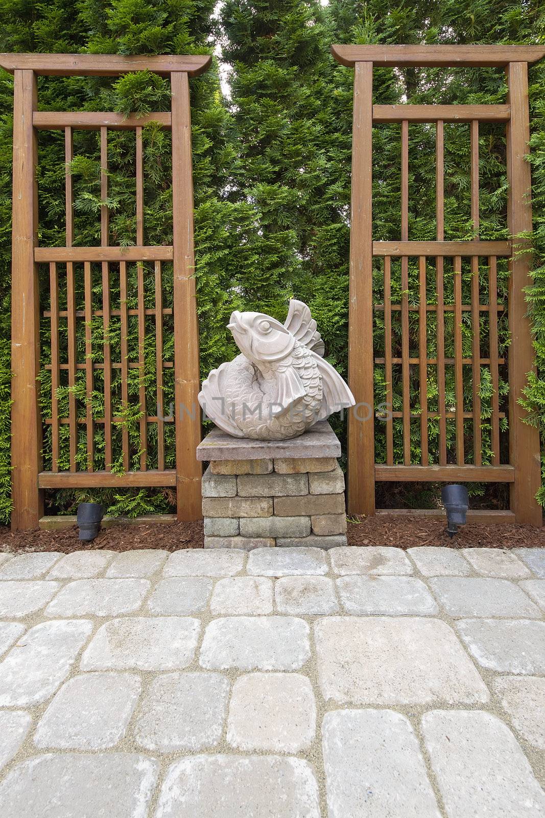 Asian Koi Fish Stone Sculpture in Garden Backyard Paver Patio with Trellis Background