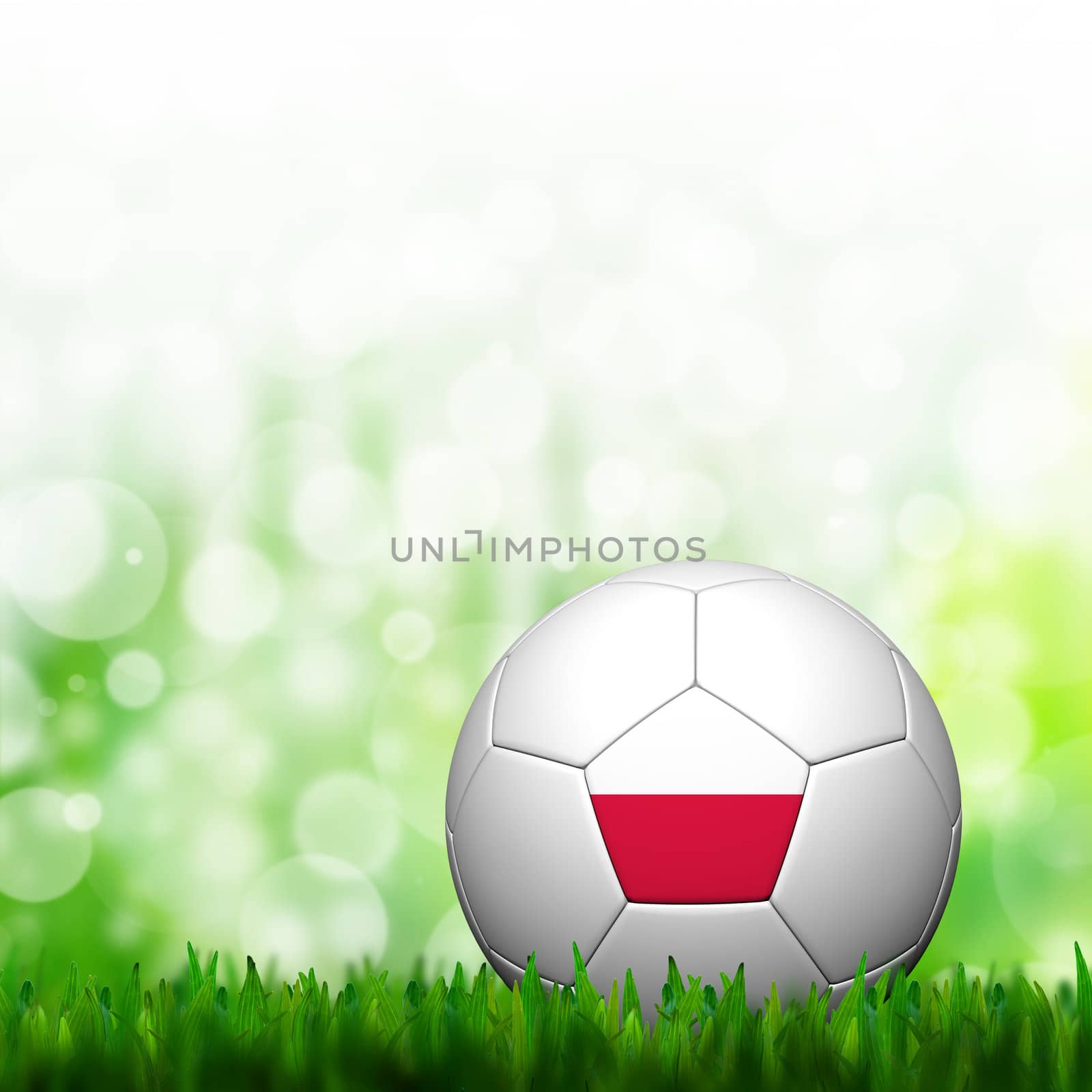 3D Football Poland Flag Patter in green grass and background