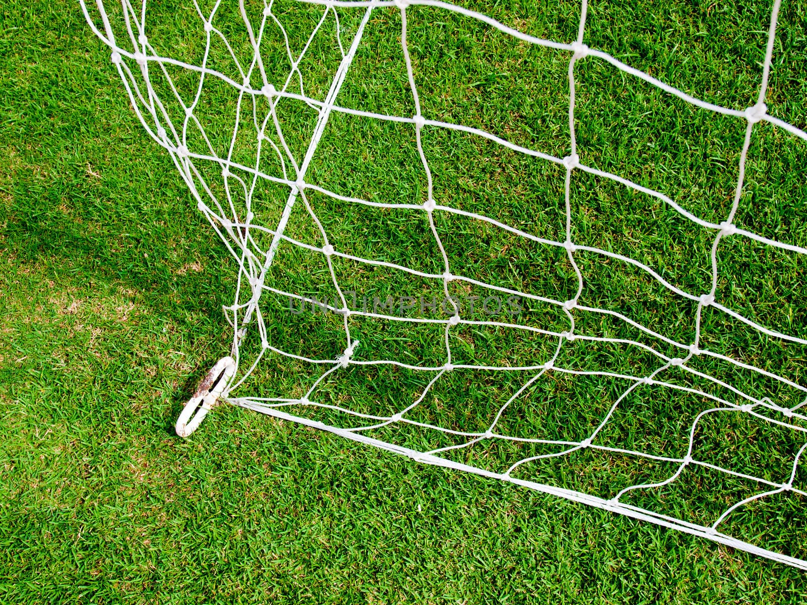 white football net