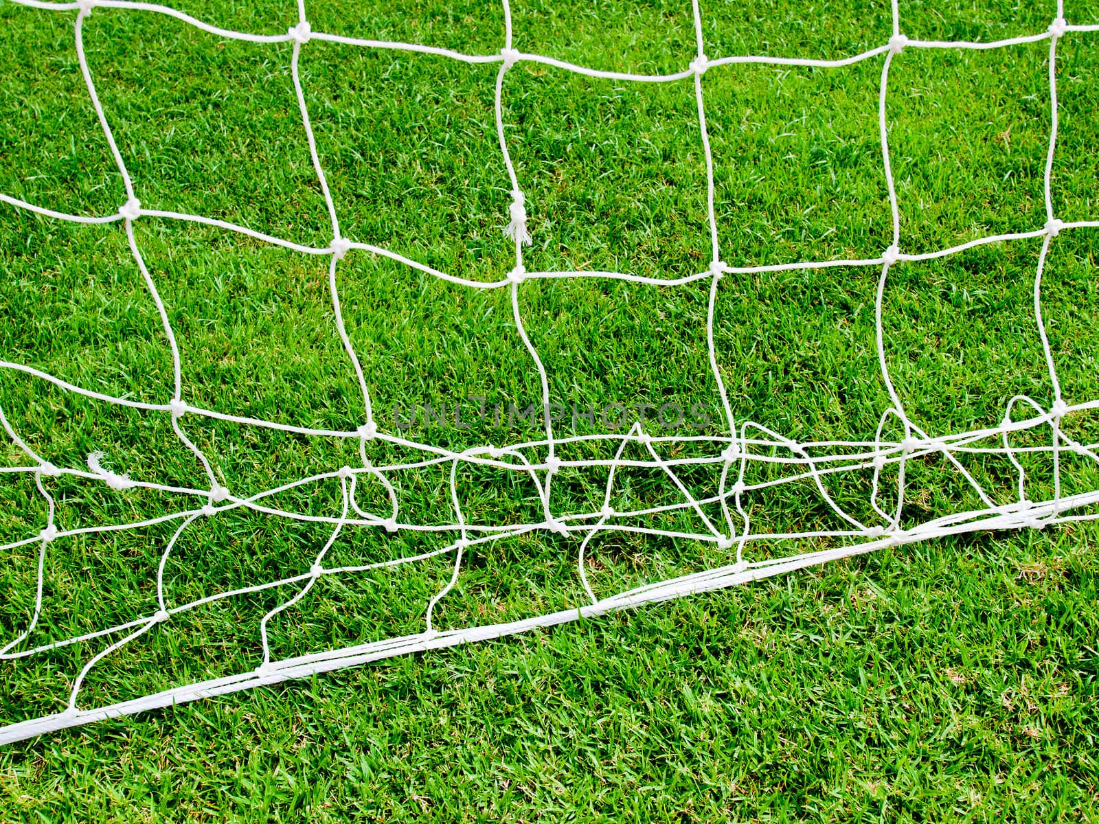 white football net and green grass