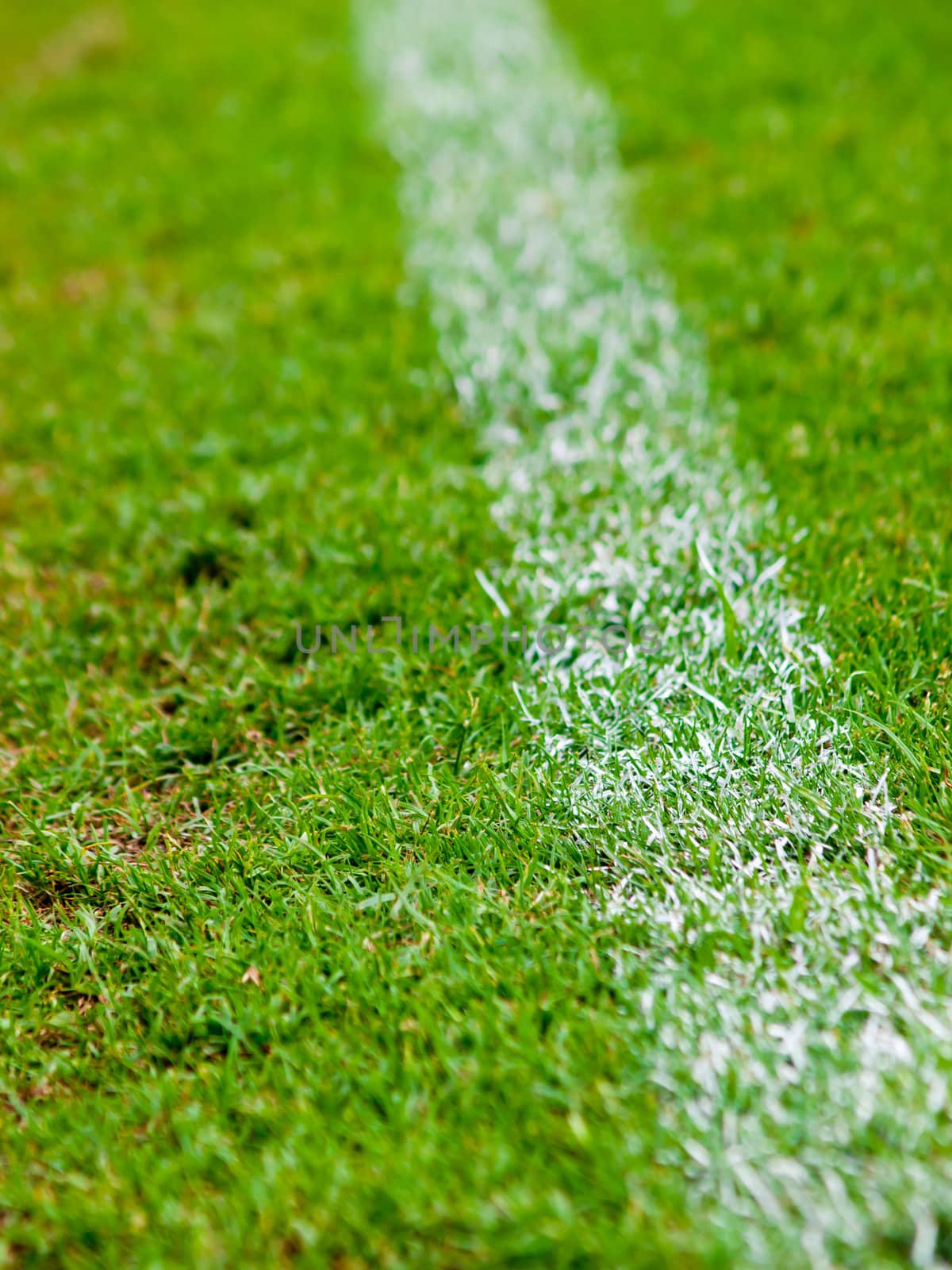 White stripe on the green soccer field 