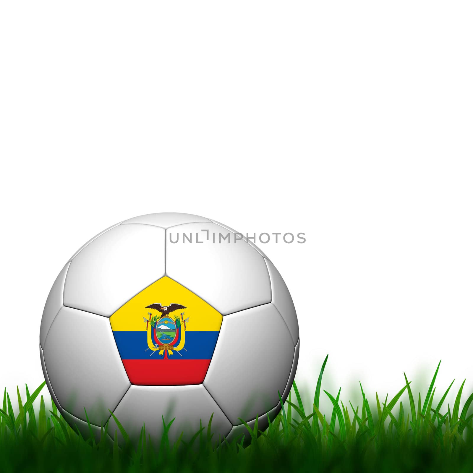 3D Football Ecuador Flag Patter in green grass on white backgrou by jakgree